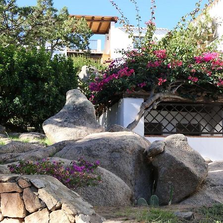 Residence Con Piscina A Liscia Di Vacca, 350 Mt Dal Mare, 3 Km Da Porto Cervo Exterior foto
